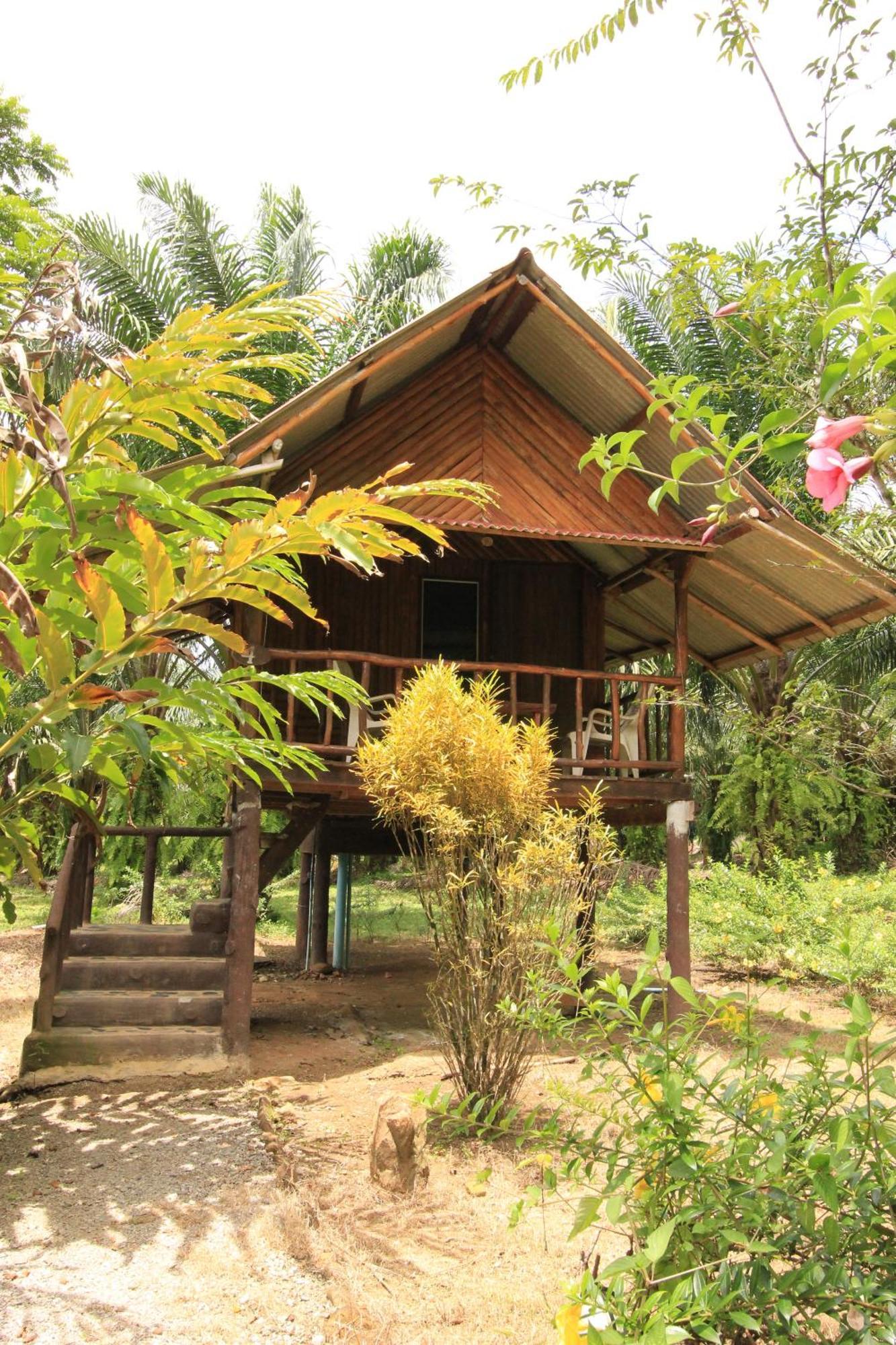 Khao Sok Palmview Resort Khao Sok National Park Room photo